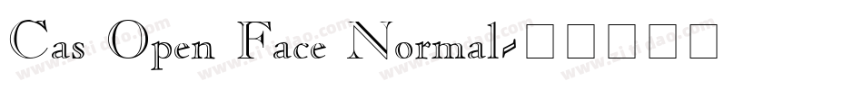 Cas Open Face Normal字体转换